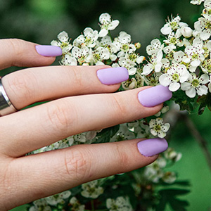 Cozy Nail Plus gallery